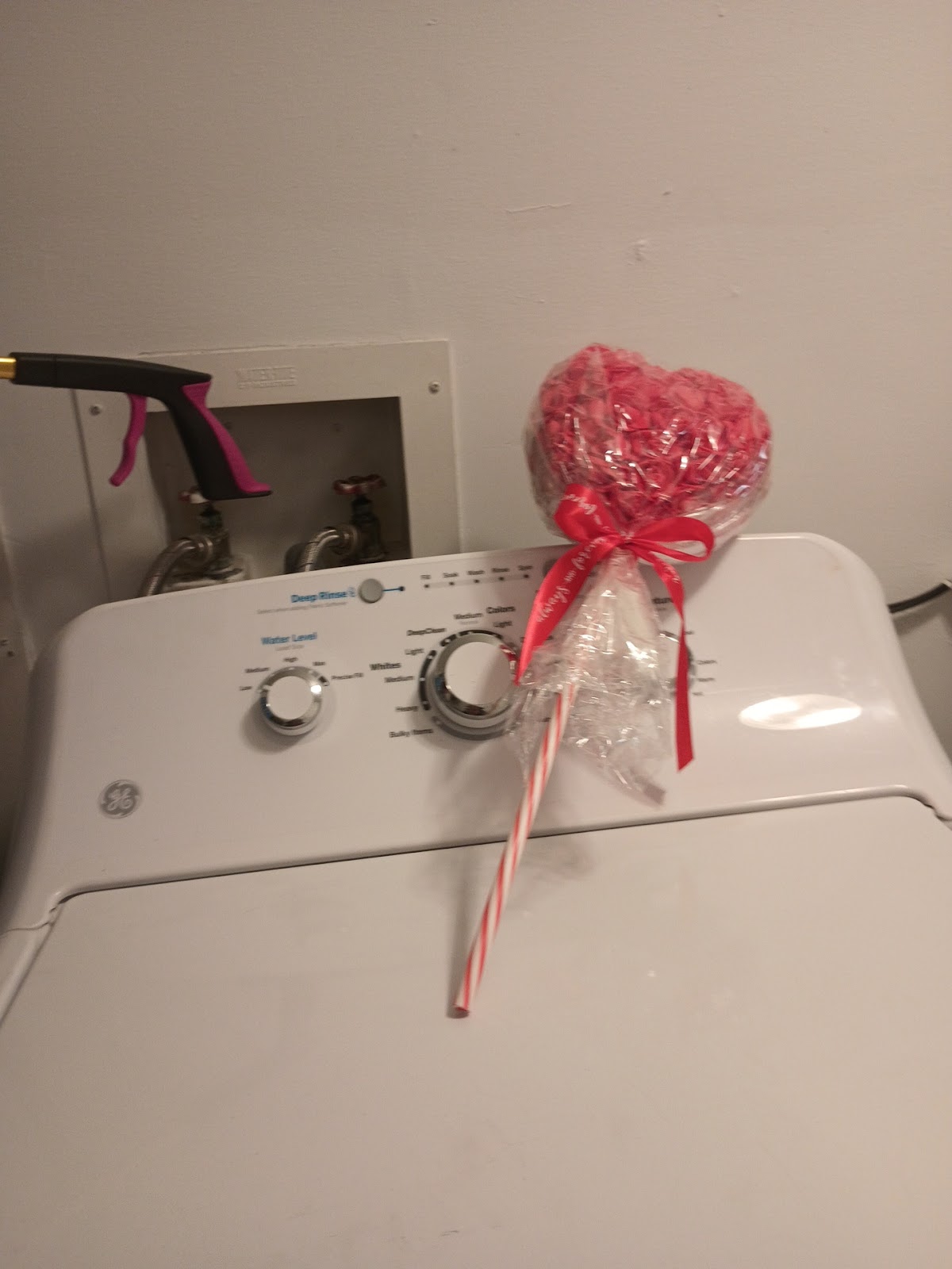 The Appliance Plug