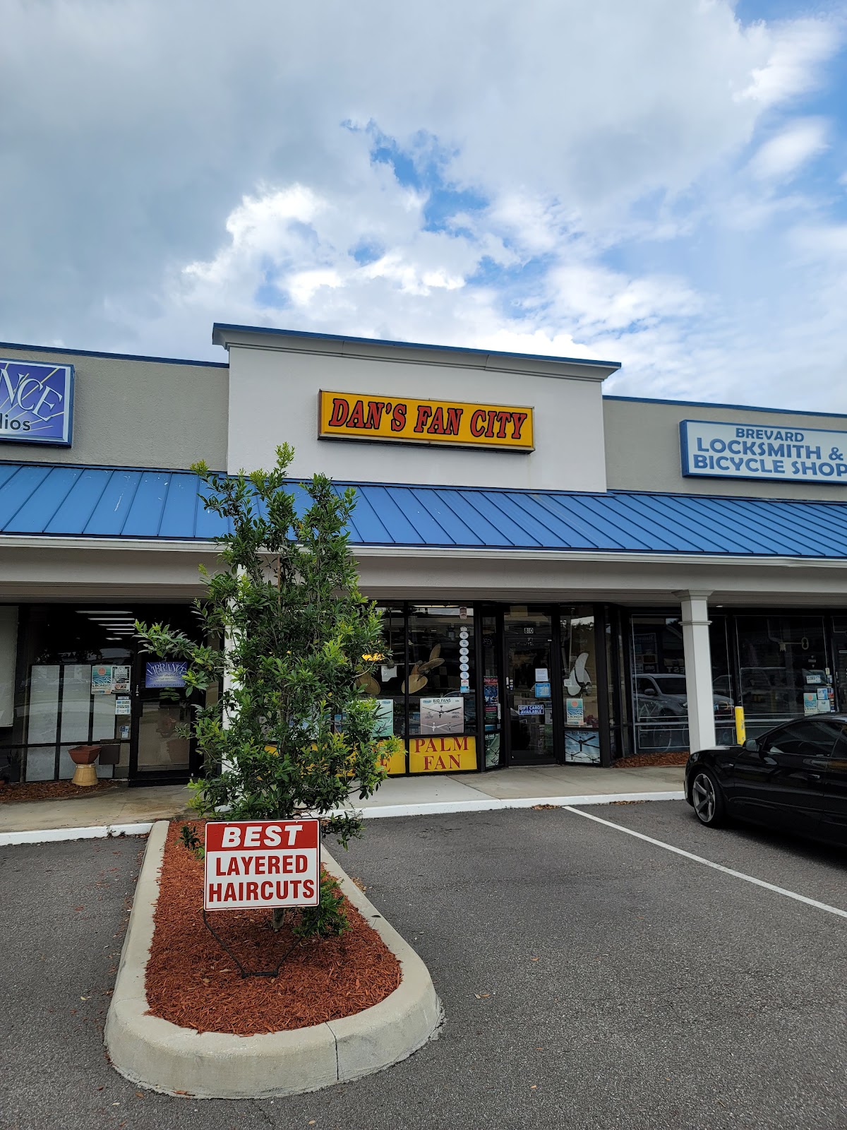 Dan's Fan City