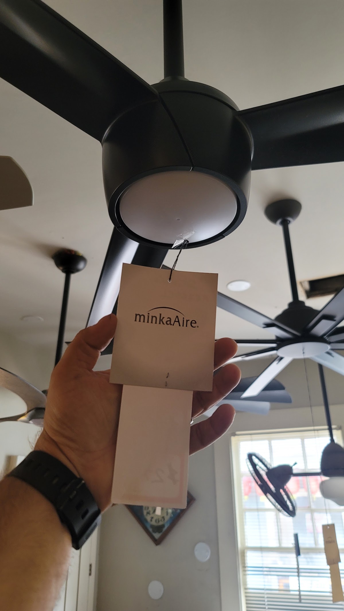 Texas Ceiling Fans