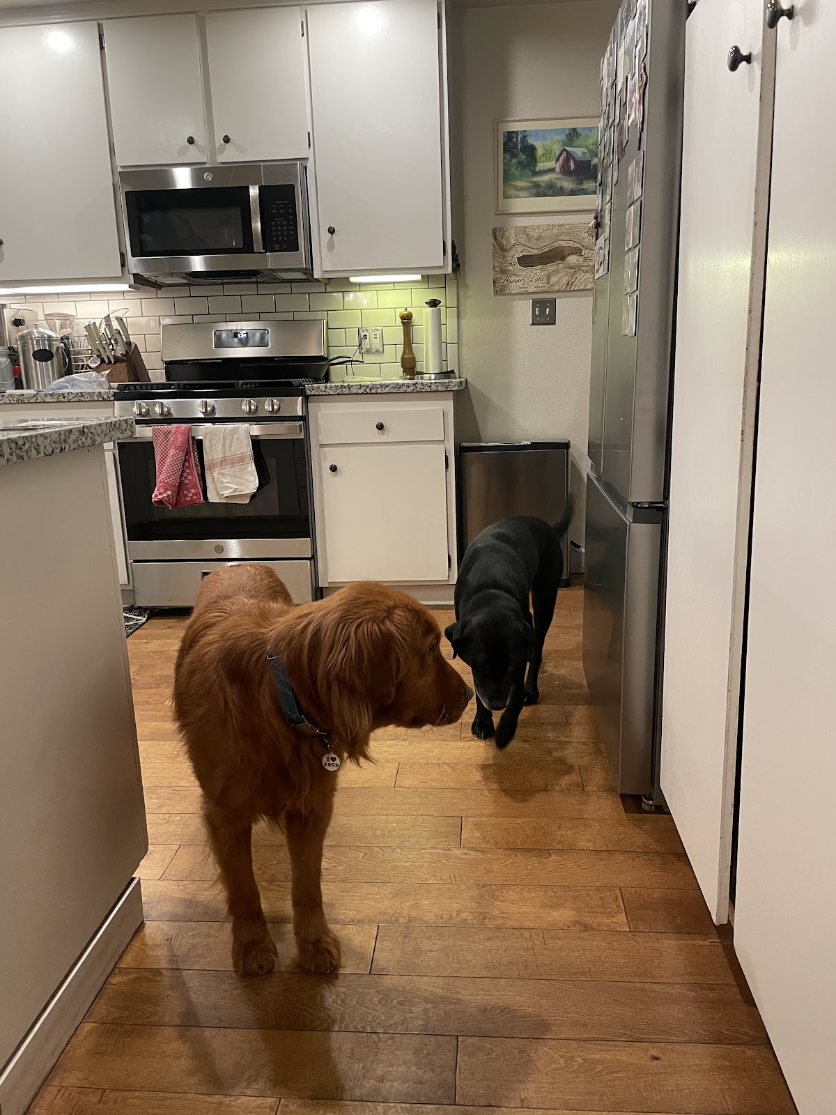 Black and White Appliances