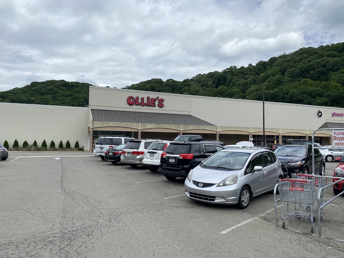 Ollie's Bargain Outlet