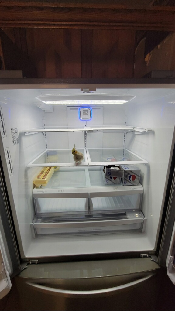 Refrigeration Associates