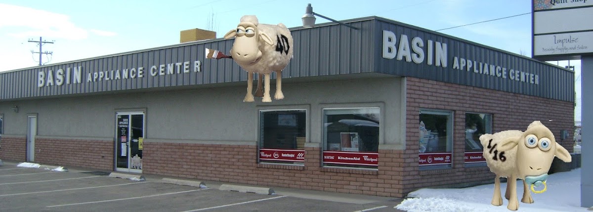 Basin Appliance
