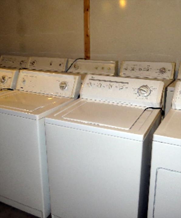 Petersen Reconditioned Washer