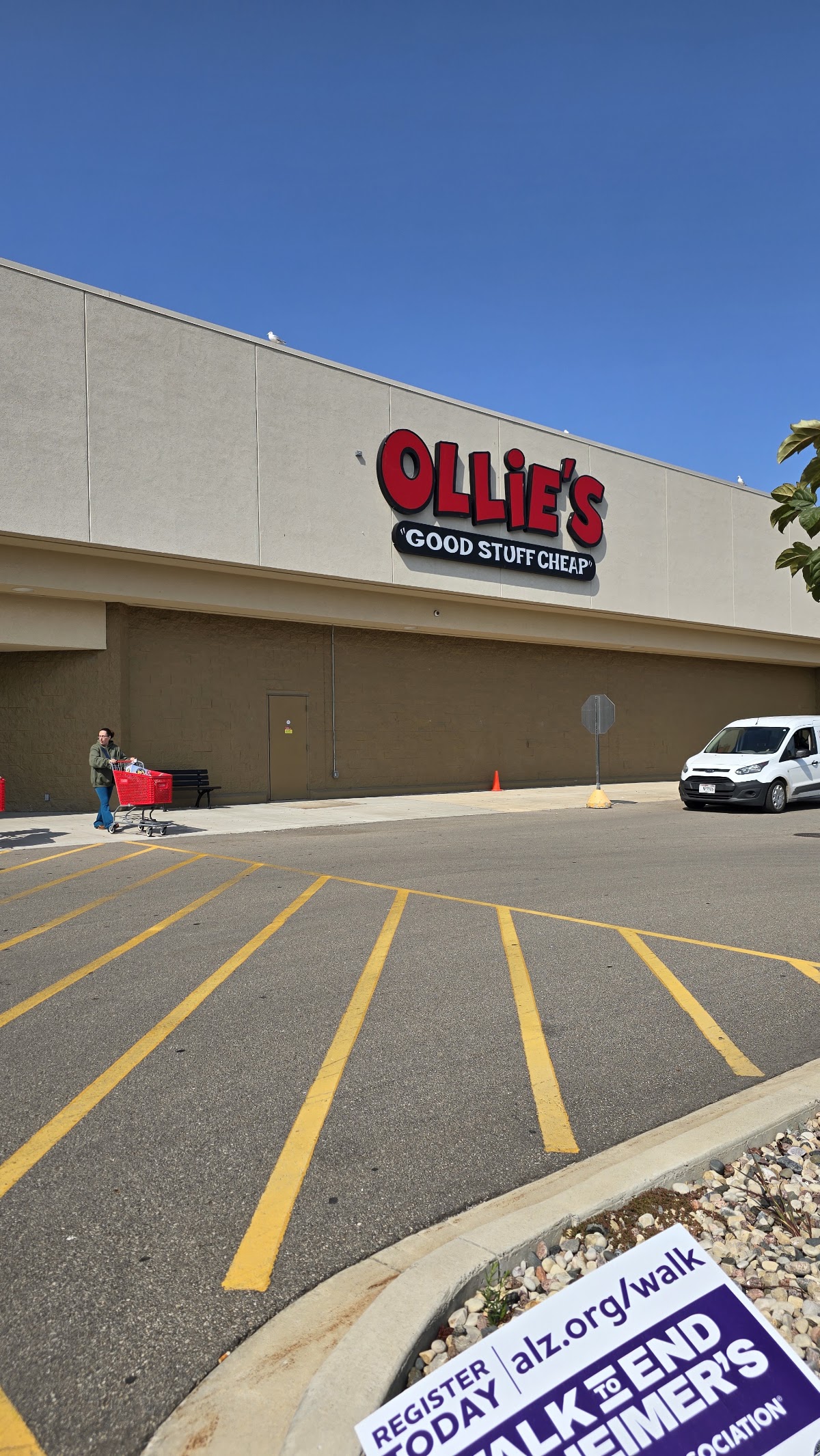 Ollie's Bargain Outlet