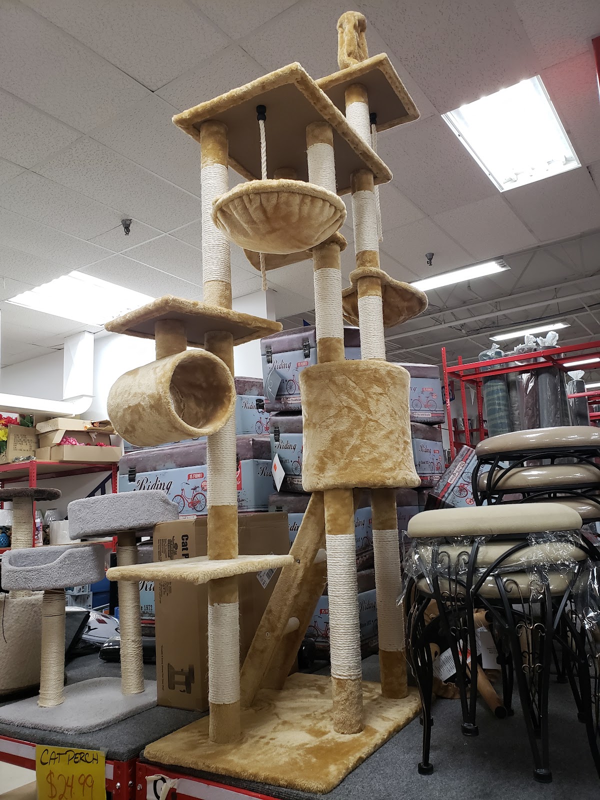 Ollie's Bargain Outlet