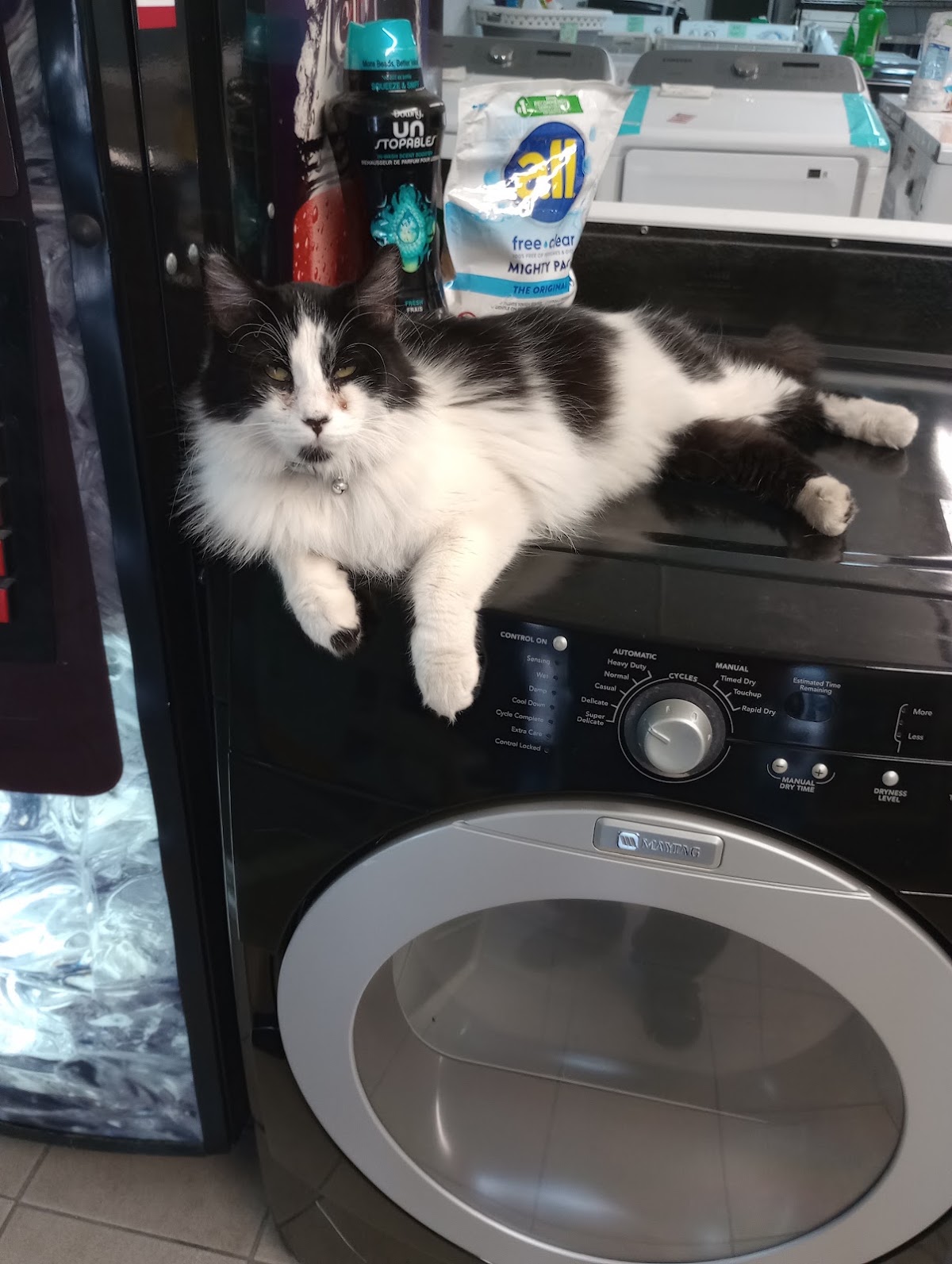 Buy Low Appliance Rebuilt