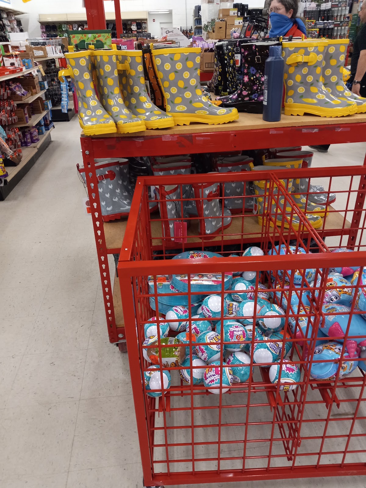 Ollie's Bargain Outlet